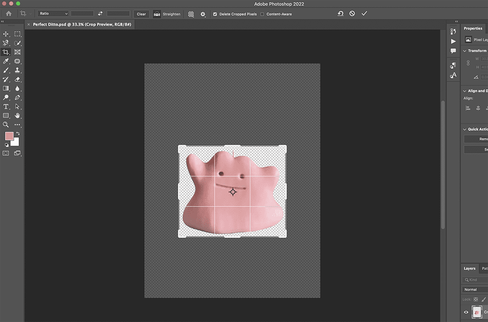 Ditto Before Crop -  How To Make Transparent Background on Photoshop