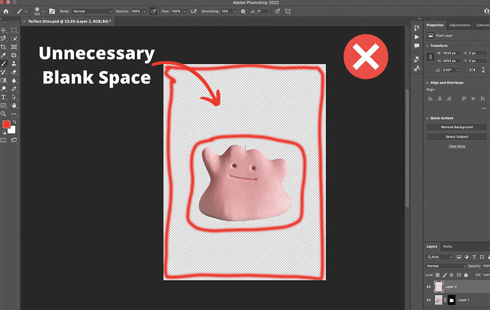 Ditto Before Crop -  How To Make Transparent Background on Photoshop