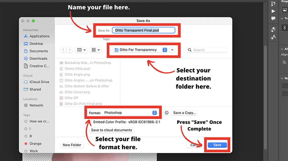 Ditto Before Crop -  How To Make Transparent Background on Photoshop