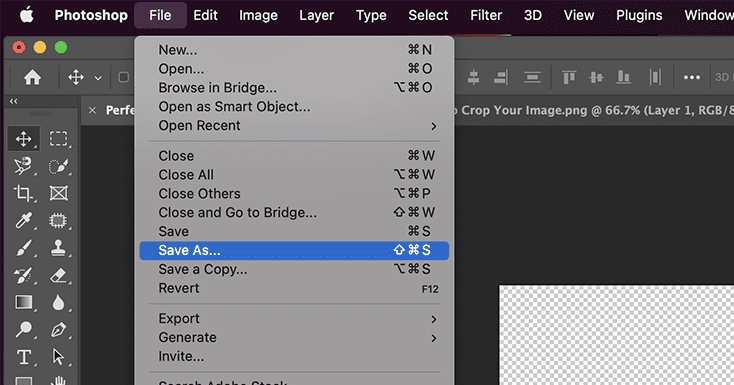 Ditto Before Crop -  How To Make Transparent Background on Photoshop